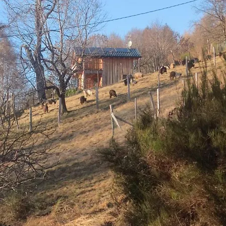 Semesterbostad Carlito *