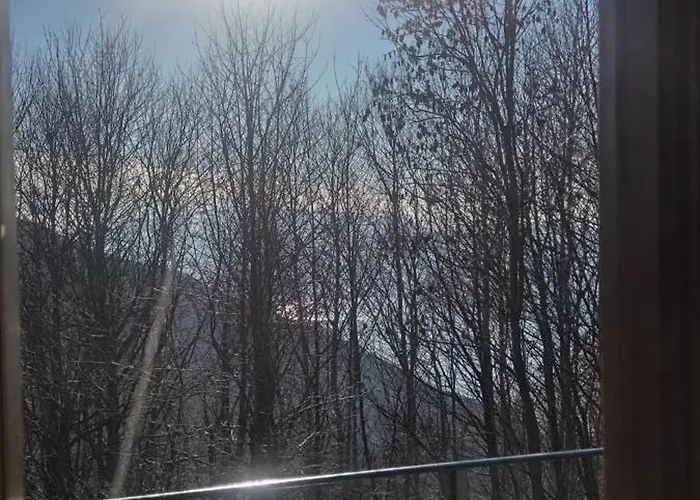 Carlito Prázdninový dům