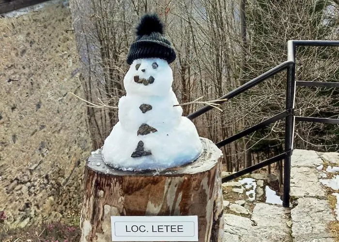 Carlito Сasa de vacaciones *