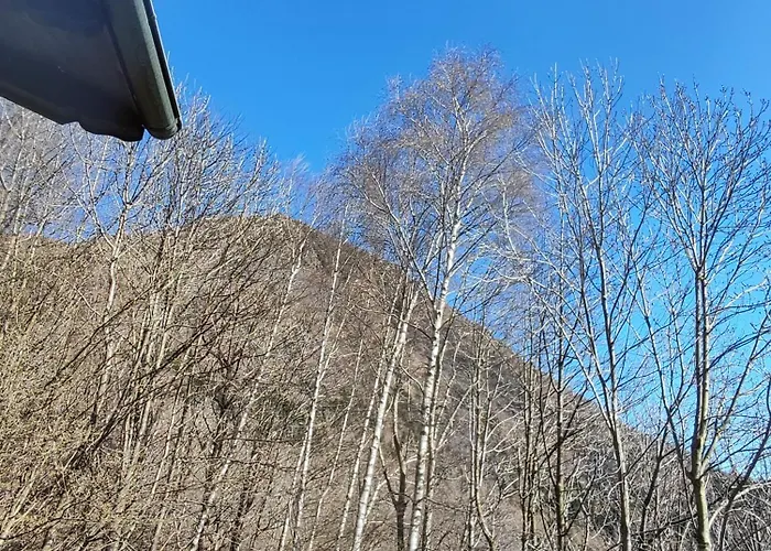 Сasa de vacaciones Carlito Sueglio