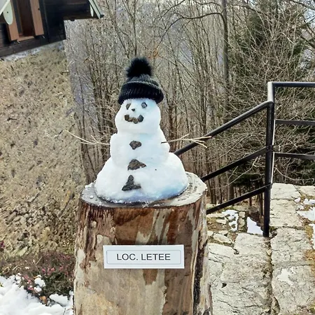 Carlito Dom wakacyjny *