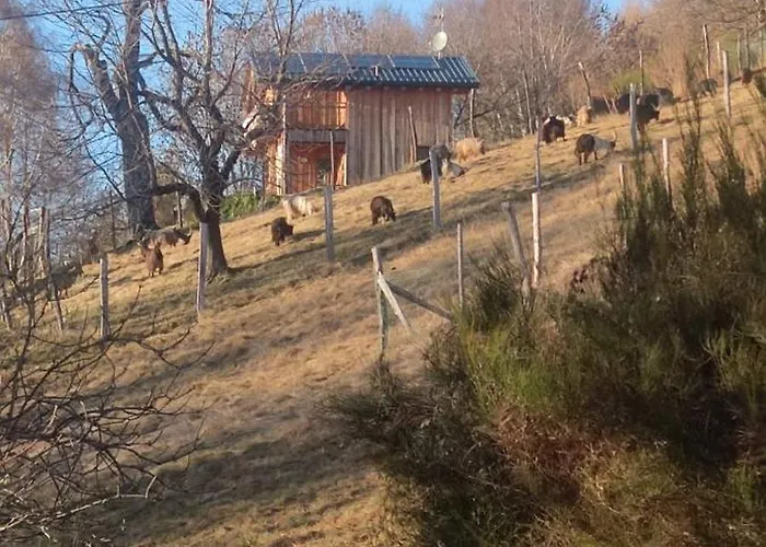 Casa de Férias Carlito *